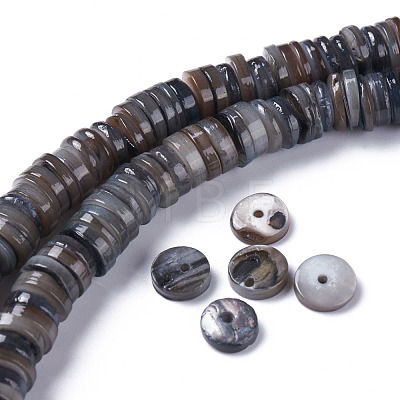 Natural Freshwater Shell Beads Strands BSHE-I016-04-1