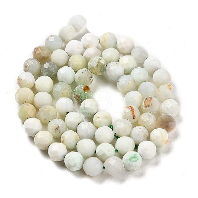 Natural Green Opal Beads Strands G-Z035-A02-04A-1