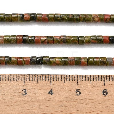 Natural Unakite Beads Strands G-P608-A10-01-1