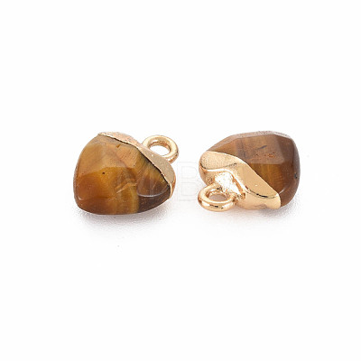 Natural Tiger Eye Charms G-N326-121-04-1