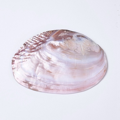 Natural Freshwater Pearl Shell Decoration SHEL-K002-01A-1