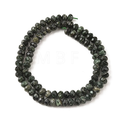 Natural Seraphinite Beads Strands G-K376-E06-4x6mm-1