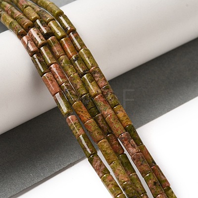 Natural Unakite Beads Strands G-B091-A02-01-1