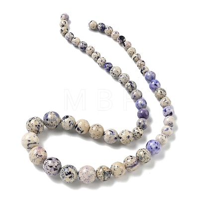 Natural Fossil Graduated Beads Strands G-F830-A03-01D-1