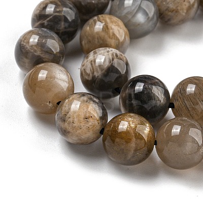 Natural Black Moonstone Beads Strands G-Q183-A01-01-1