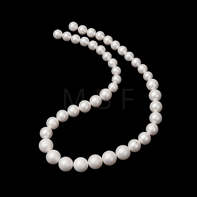 Electroplated Shell Pearl Graduated Beads Strands SH-CBA8E5B-02-1