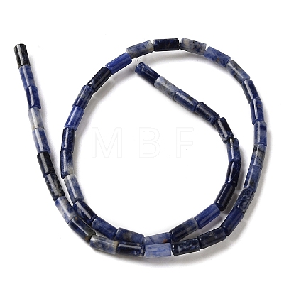 Natural Sodalite Beads Strands G-B091-A06-01-1