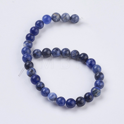 Natural Sodalite Beads Strands G-G515-6mm-07-1