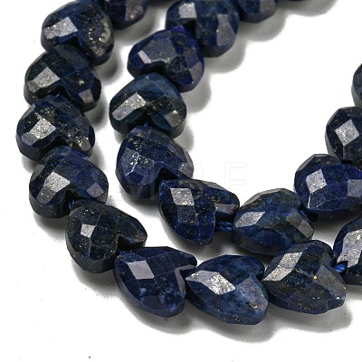 Natural Lapis Lazuli Beads Strands G-P544-E10-01-1