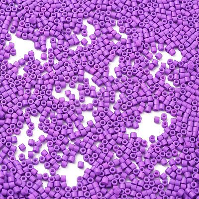 Baking Paint Glass Seed Beads X-SEED-S042-05B-72-1
