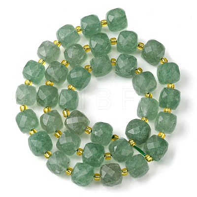 Natural Green Strawberry Quartz Beads Strands G-Q010-A20-01-1