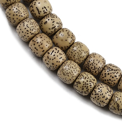 Natural Rudraksha Bodhi Seed Beads Strand WOOD-B010-A03-7x8mm-1