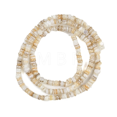 Natural Freshwater Shell Beads Strands X-BSHE-H109-13A-1