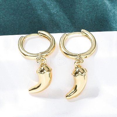 Chili Brass Hoop Earrings EJEW-Q015-17G-1