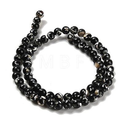 Assembled Synthetic Stone and Trochus Shell Beads Strands G-B128-08B-04-1