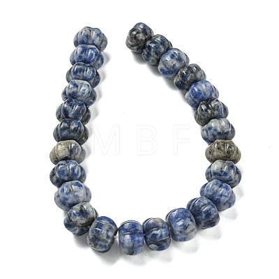 Natural Blue Spot Jasper Beads Strands G-G142-A13-01-1