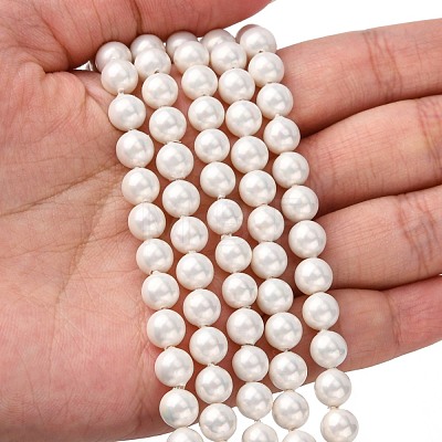 Shell Bead Strands BSHE-R146-6mm-02-1