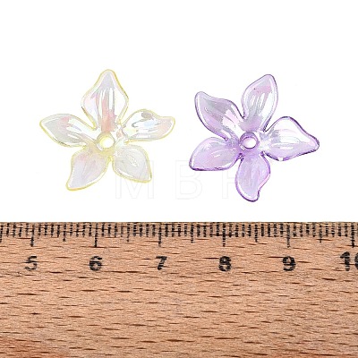 Transparent Plastic Bead Caps KY-N025-38-1