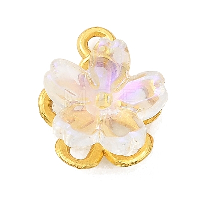 Alloy Glass Charms FIND-C079-05G-03-1