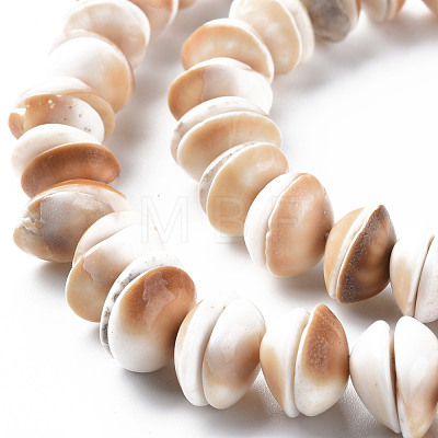 Natural Shell Beads Strands SSHEL-N034-100-1