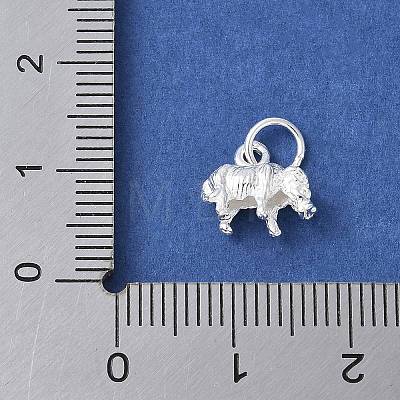 925 Sterling Silver 3D Chinese Zodiac Charms STER-P066-01S-02-1