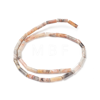 Natural Crazy Agate Stone Beads Strands X-G-F247-33-1