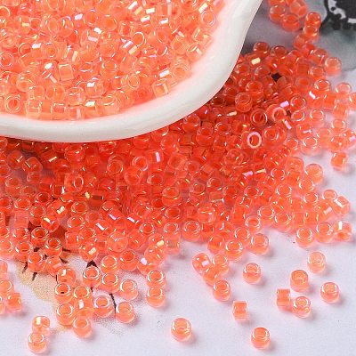Glass Seed Beads X-SEED-S042-13A-06-1