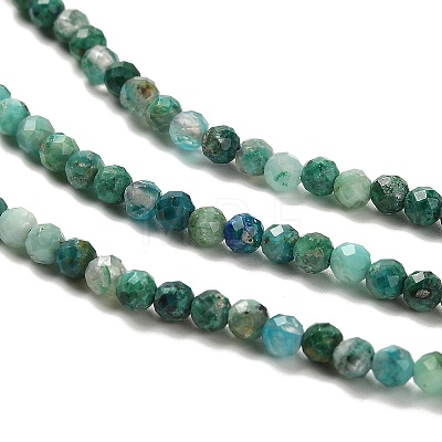 Natural Chrysocolla Beads Strands G-K373-B05-02-1