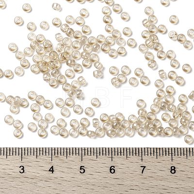 MIYUKI Round Rocailles Beads X-SEED-G008-RR0161-1