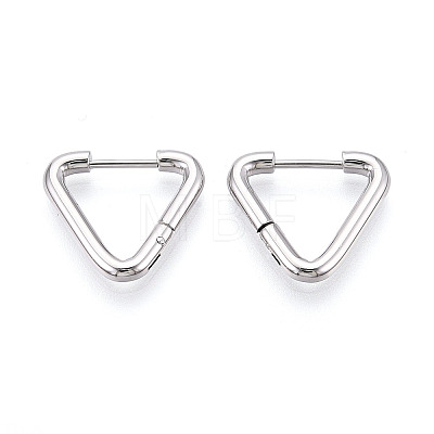 304 Stainless Steel Hoop Earrings STAS-T074-20P-1
