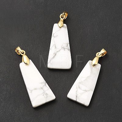 Natural Howlite Pendants G-C045-01J-G-1