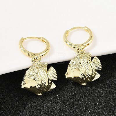 Brass Hoop Earrings EJEW-Q036-03A-G-1