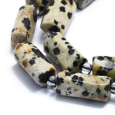 Natural Dalmatian Jasper Beads Strands G-K245-I03-01-1