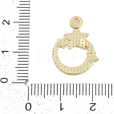 Rack Plating Alloy Micro Pave Rhinestone Pendants FIND-K020-05G-1