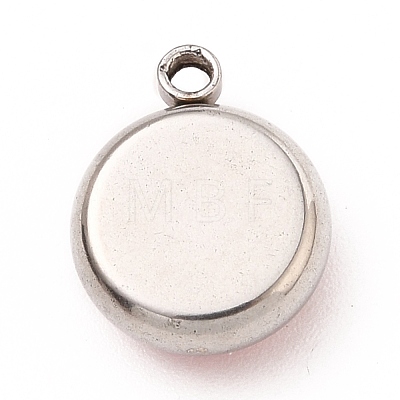 304 Stainless Steel Charms STAS-I165-04A-P-06-1
