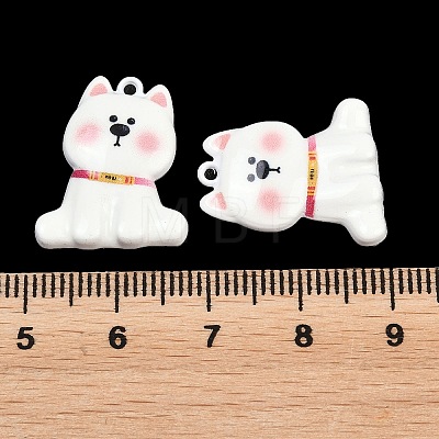 Alloy Pendants FIND-E055-03A-1