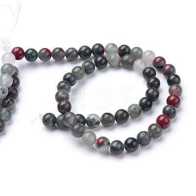 Natural African Bloodstone Beads Strands G-R345-8mm-50-1