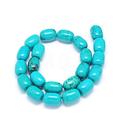 Natural Magnesite Barrel Bead Strands TURQ-E022-14B-12X8mm-1