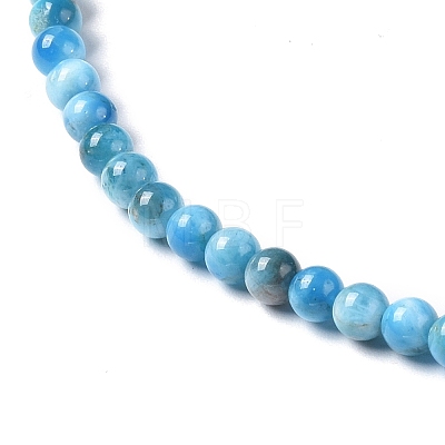 Natural Apatite Beads Strands G-I254-08F-1