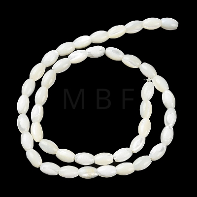 Natural Trochus Shell Beads Strands BSHE-E030-02B-1