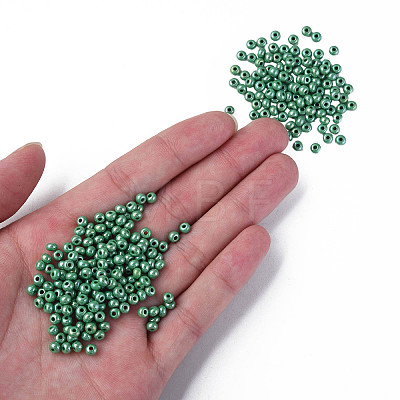 6/0 Czech Opaque Glass Seed Beads SEED-N004-003D-13-1