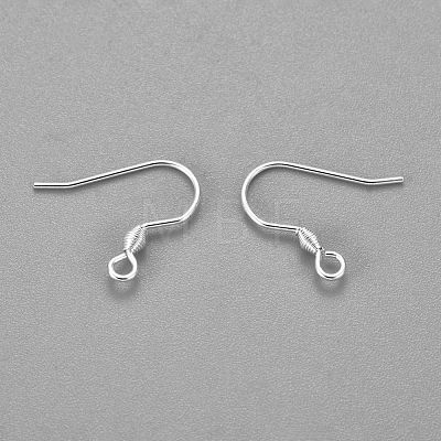 304 Stainless Steel Earring Hooks STAS-H436-04S-1