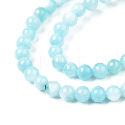 Natural Freshwater Shell Beads Strands X-BSHE-T009A-01E-1