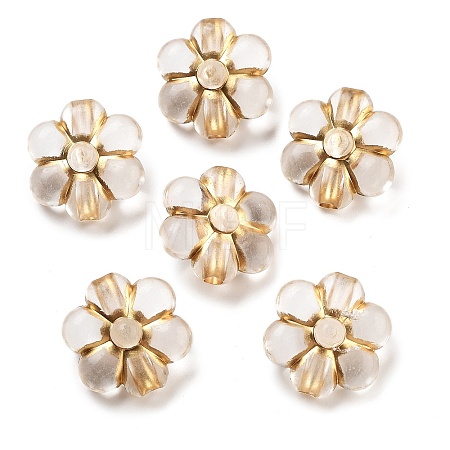 Metal Enlaced Transparent Acrylic Beads MACR-M045-12-1