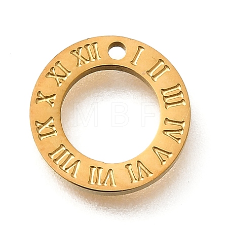 304 Stainless Steel Charms STAS-Q348-33G-1