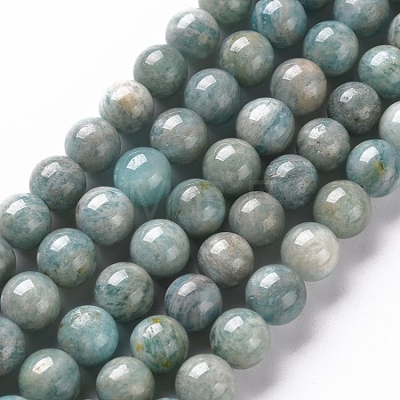 Natural Amazonite Beads Strands G-S333-8mm-005-1