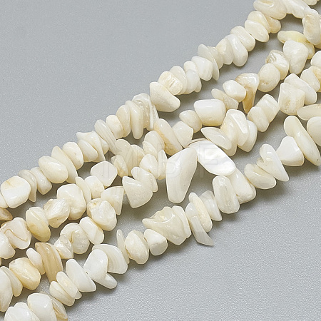 Freshwater Shell Beads Strands SHEL-S270-20-1