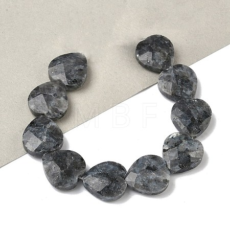 Natural Larvikite Beads Strands G-A309-A18-01-1
