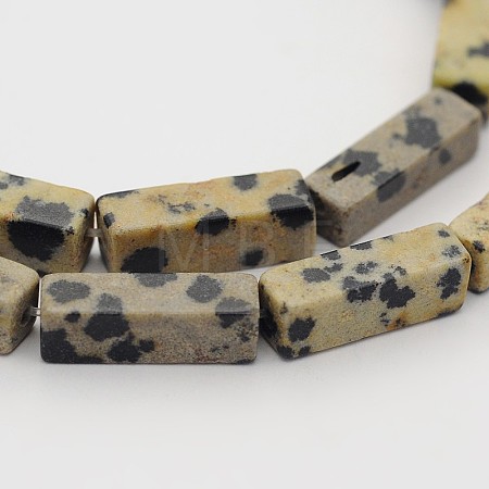 Natural Dalmatian Jasper Cuboid Beads Strands G-N0153-16-1