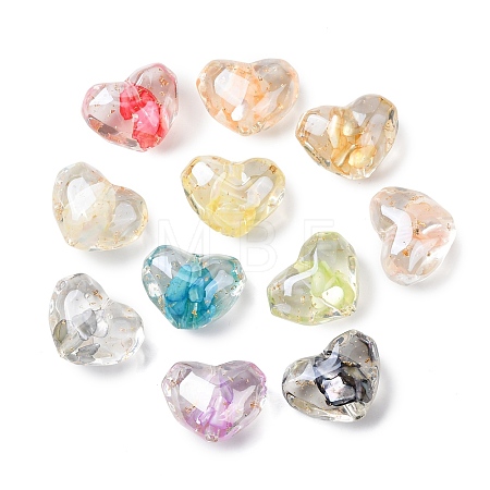 Transparent Resin & Natural Shell Beads RESI-B039-02B-1